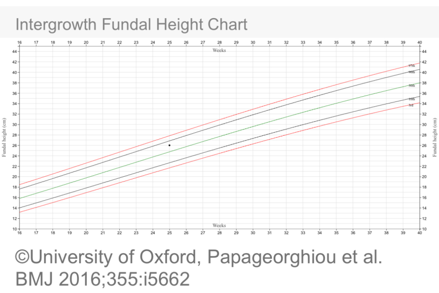 September 2024 - Thread 7! 🐣🧡💛❤️