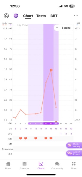 Ovulation - have I DTD enough?