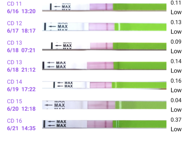 TTC June 2024 ✨♥️