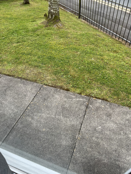 Gardens with nothing in them?
