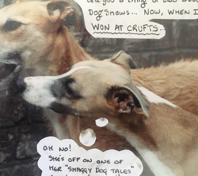 Breeder doesn’t allow visits… walk away?