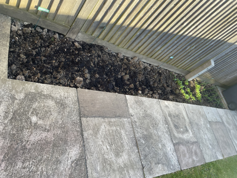 The Vegetable Patch 2024/2025
