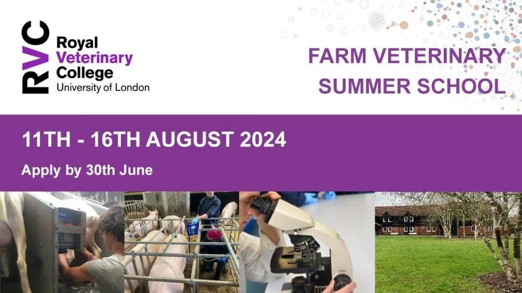 Royal Veterinary College - age 16-19 - Summer School - August 2024