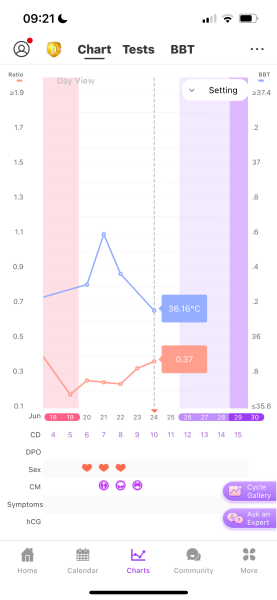 TTC after chemical pregnancy