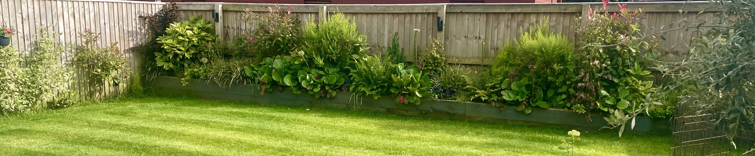 Adding Colour to Garden Borders