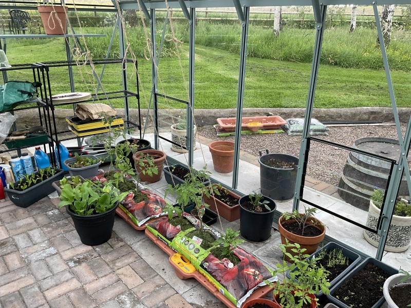 It's the Greenhouse Thread 2024