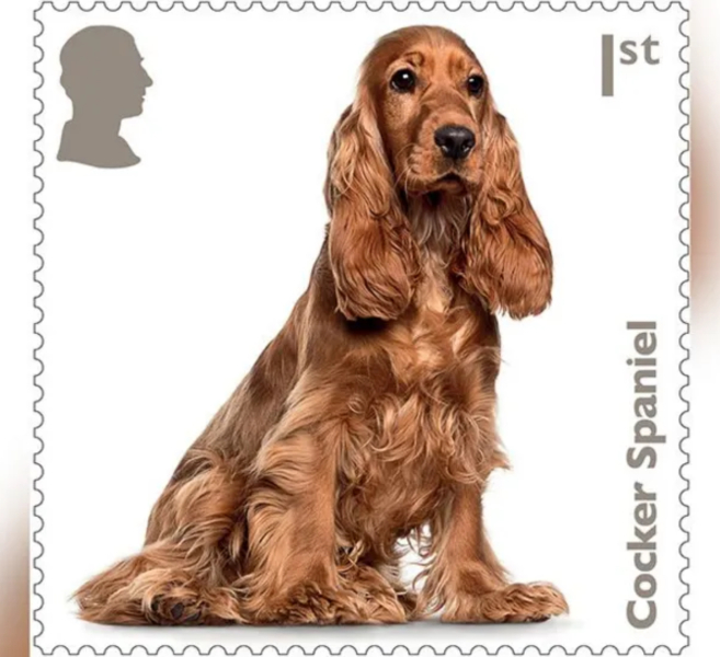 doggo stamps!