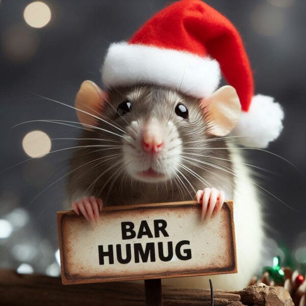 Aston University + gerbil merch thread