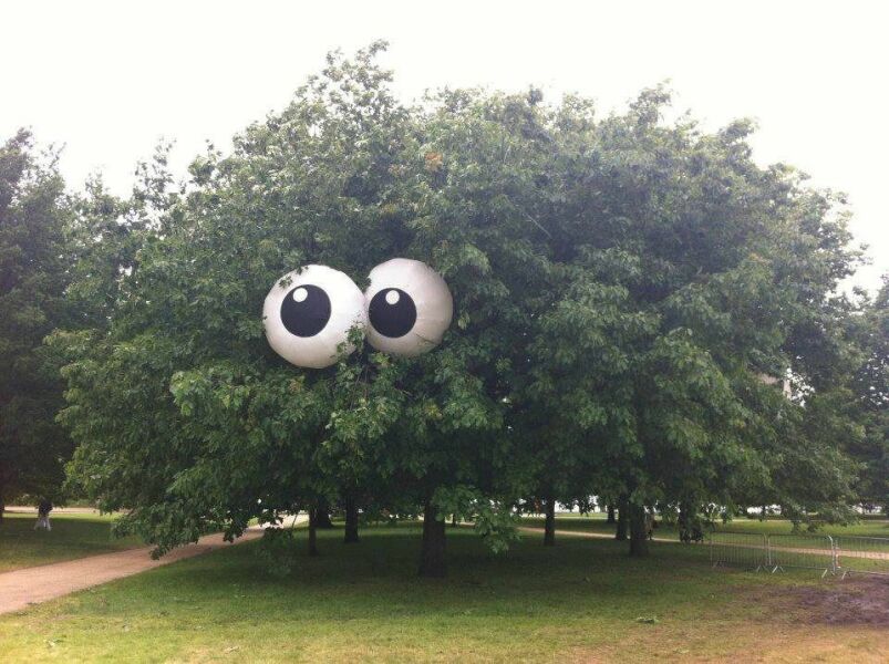 What have you done in the garden today? Part 5