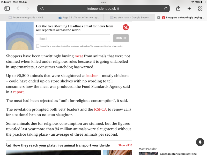 To not offer two types of beef burger at summer fair (halal and non halal)?