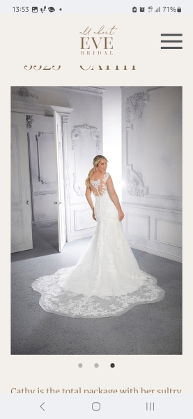 Bridal belt, hair and veil opinions needed.....