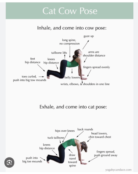 Pain between shoulder blades