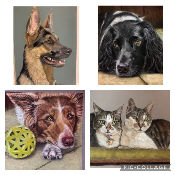 Pet portraits - what kinda price?
