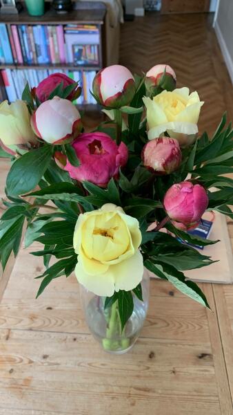 Thread 48 - Sunak - Capsized on the Ship of Lies