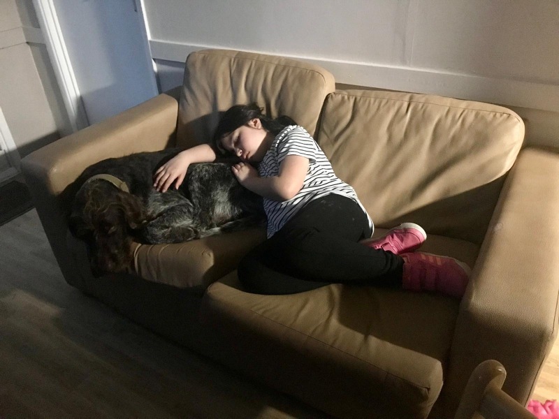 Tell me the best thing/s about having a dog