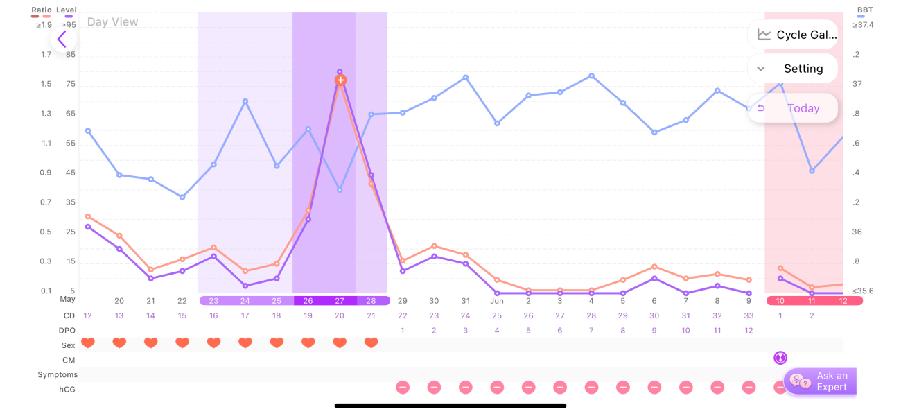 TTC after chemical pregnancy