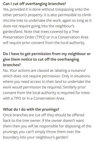 Neighbour trimmed the tree that hangs over in to her garden......but