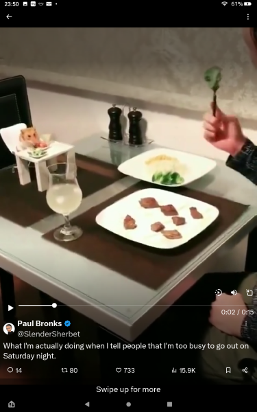 Aston University + gerbil merch thread