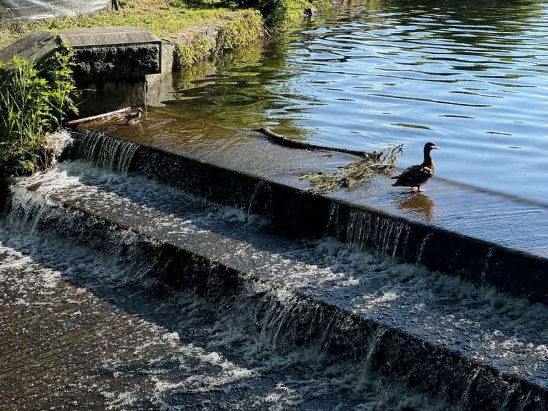 Come and tell me your dull and unexciting news 30: Calmly through the day