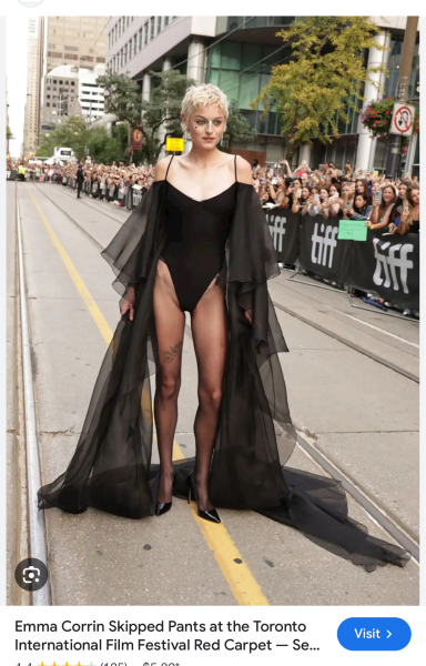 DH, Anita Rani and the see thru dress