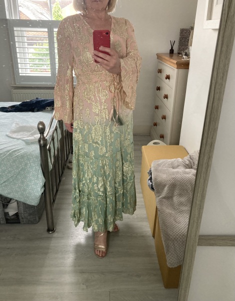Dress Help - Guest at Indian Wedding