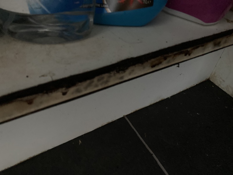 Water damage in cupboard - nasty mess!