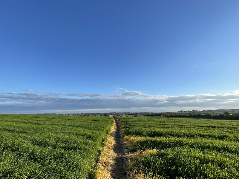 The Great Recovery part 2 - After Cancer treatment what next?