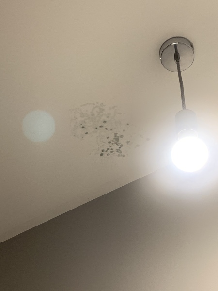 To ask what would cause mold like this?