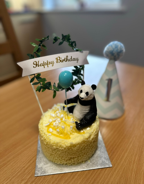 To decorate a pre iced cake for dds 16th and refuse to pay £80 for a themed cake?!