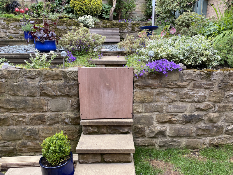 Puppy Survival Thread for New and Old Pups - Spring is around the corner!