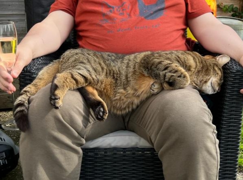 The One where TC moved to Scotland and joined the Excellent Cats