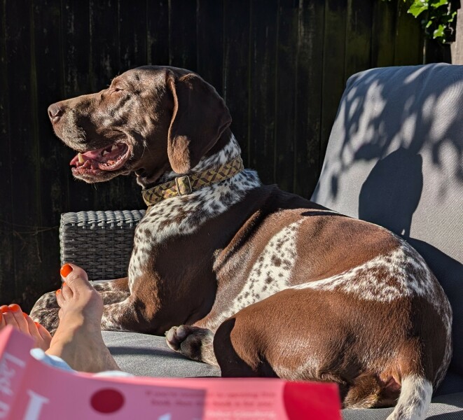 New April continuing thread for living an alcohol free life - all welcome