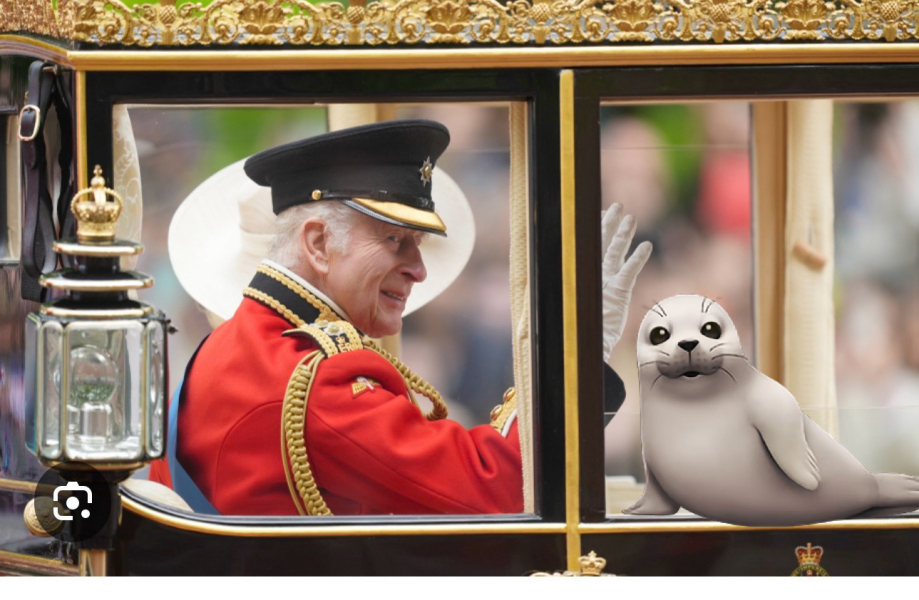 Father’s Day photo