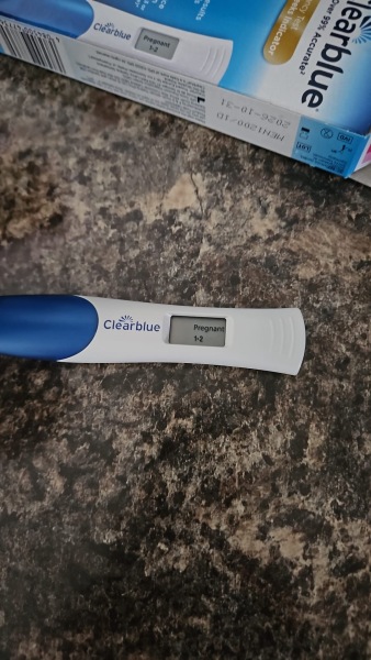 pregnant?