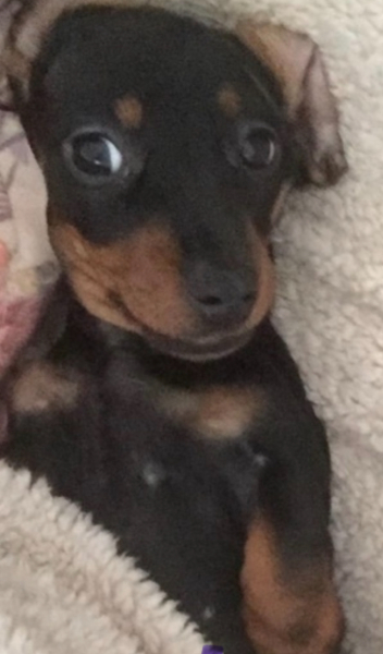 38 single and childless- Feel like Bridget Jones