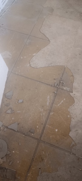 Do these look like asbestos?
