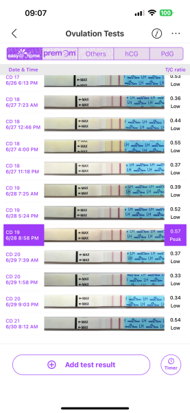 TTC after chemical pregnancy