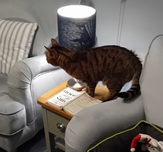 The One where TC moved to Scotland and joined the Excellent Cats