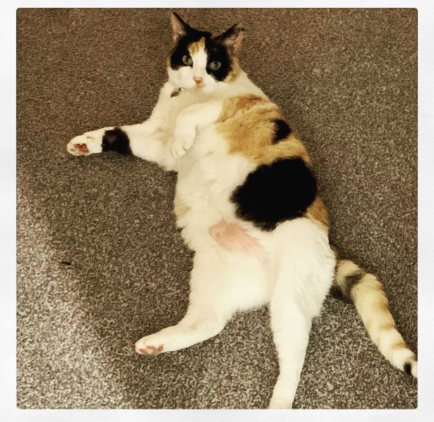 So sad - my girl suddenly passed