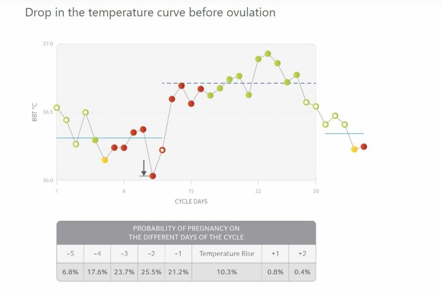 TTC after chemical pregnancy