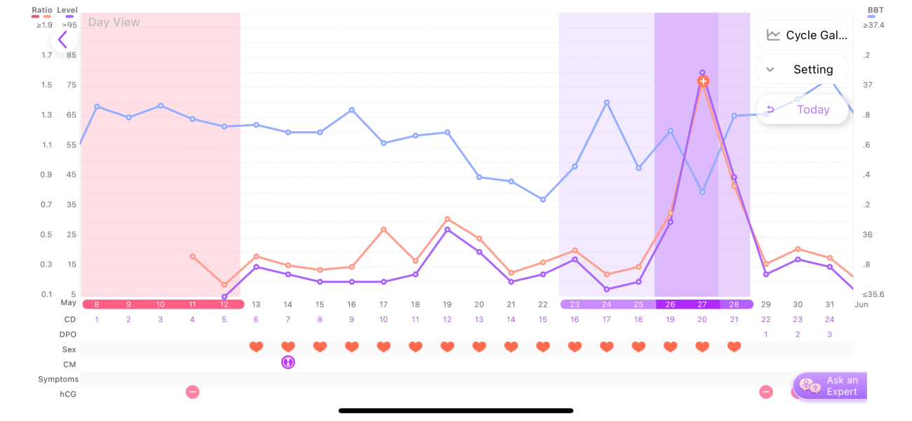 TTC after chemical pregnancy