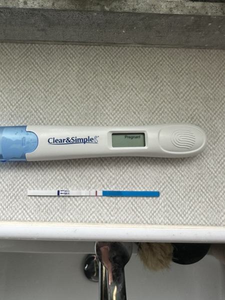 I'm pregnant again