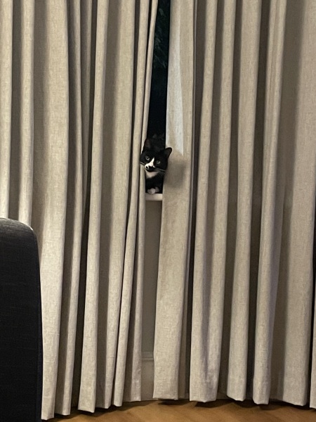 Thread 52 Sunak: The Final Countdown