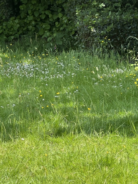 If your garden is messy, do you still sit in it and enjoy it?