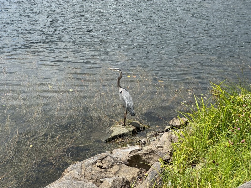 Come and tell me your dull and unexciting news 30: Calmly through the day