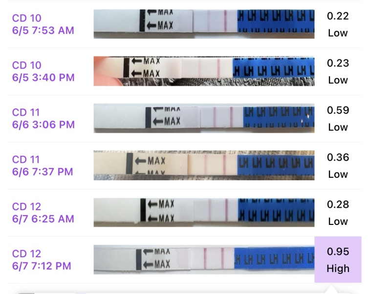Is this my LH surge?
