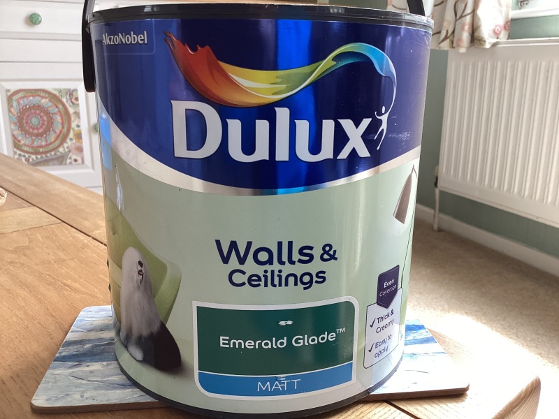 Painting on new plaster help