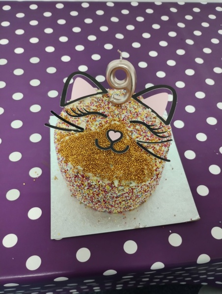To decorate a pre iced cake for dds 16th and refuse to pay £80 for a themed cake?!