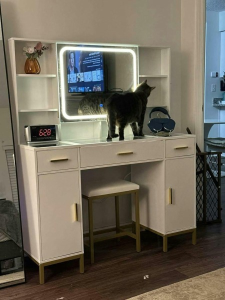 Does anyone have a vanity area? If so, pic please?