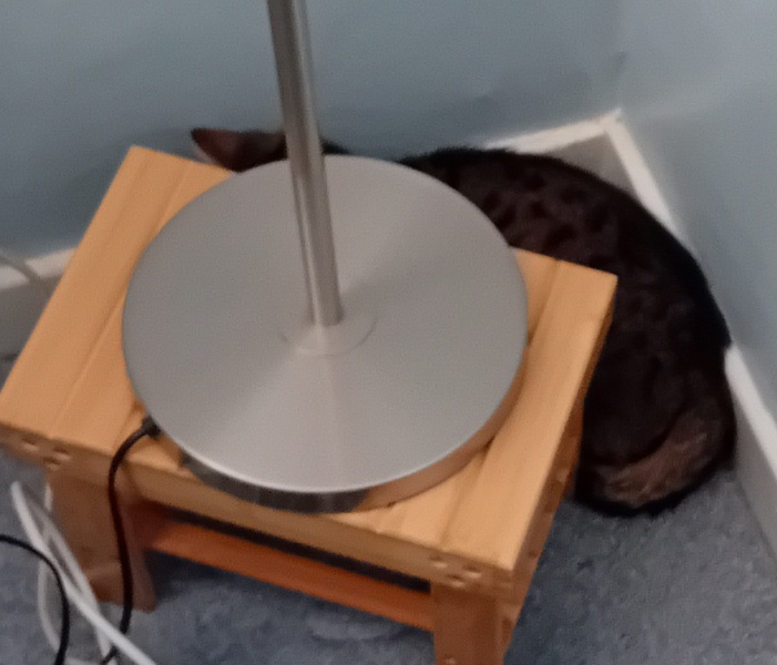 The One where TC moved to Scotland and joined the Excellent Cats